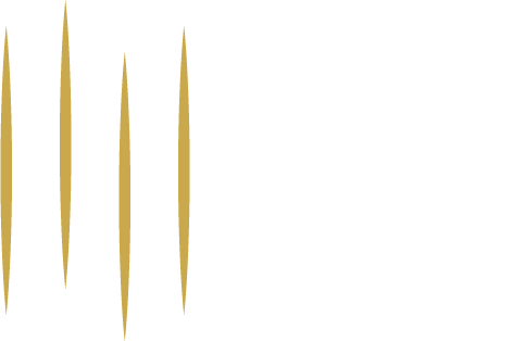 Quartetto Noûs